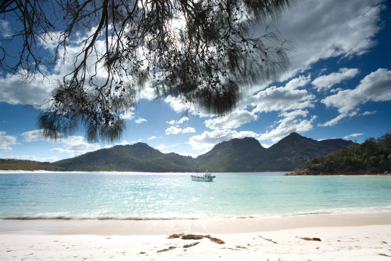 26_FNPL_Wineglass Bay and Drooping Sheoak.jpg