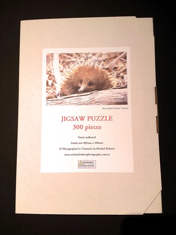 Short-Beaked Echidna Box.JPG