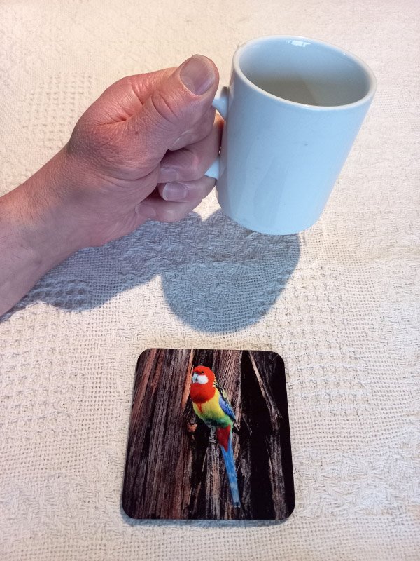 Eastern Rosella (1).jpg