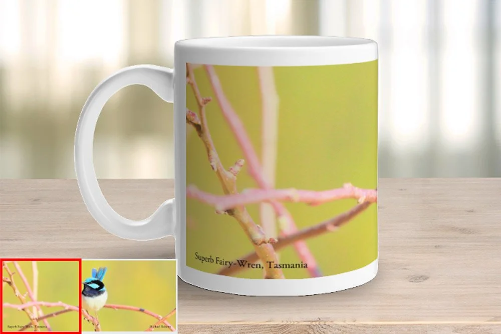 Superb Fairy-Wren Mug Image (Left).jpg