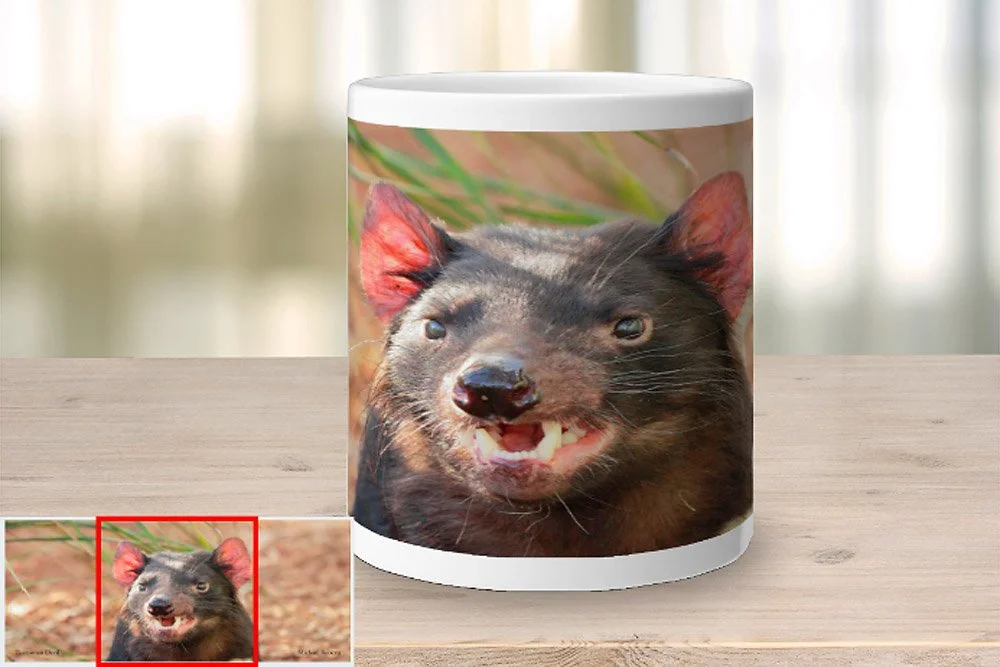 Tasmanian Wildlife - Mugs — Mountain Peak Photography