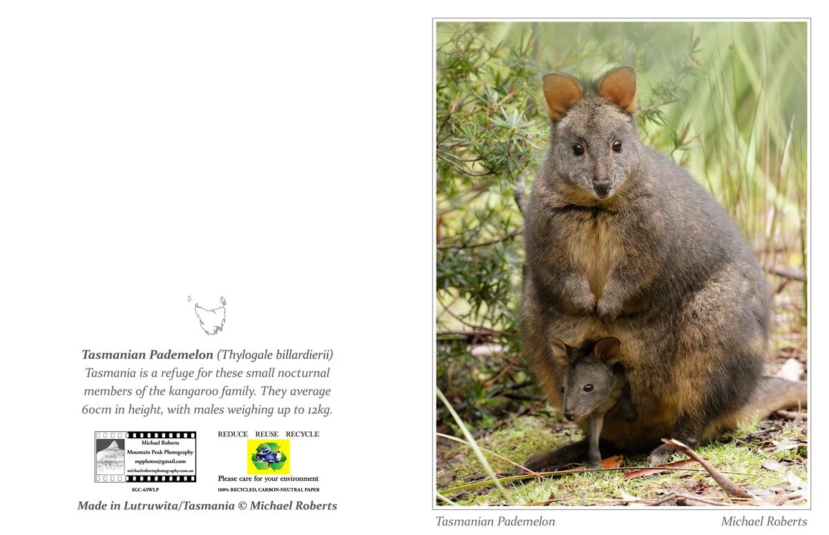 TASMANIAN PADEMELON (Greeting Cards) (63WLP).jpg