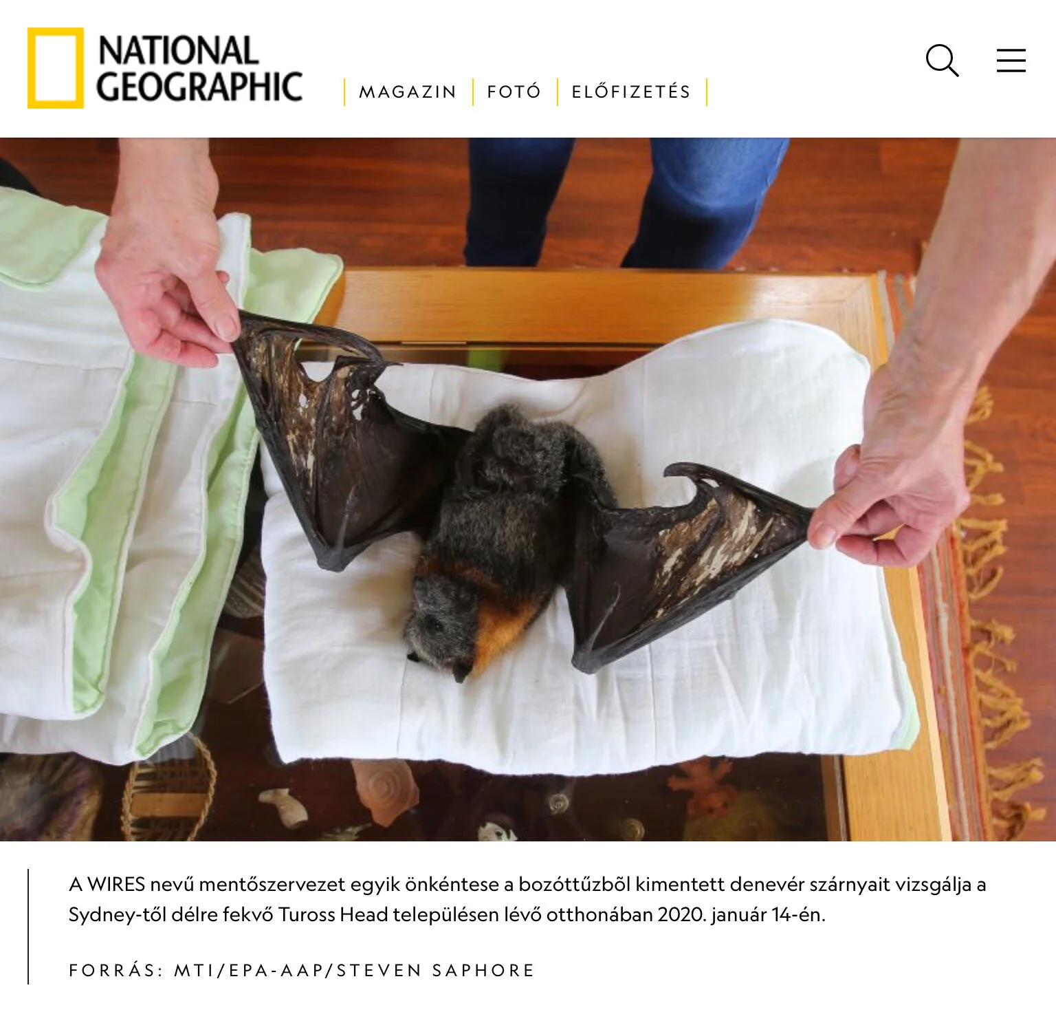 Published Work Steven Saphore Photojournalist