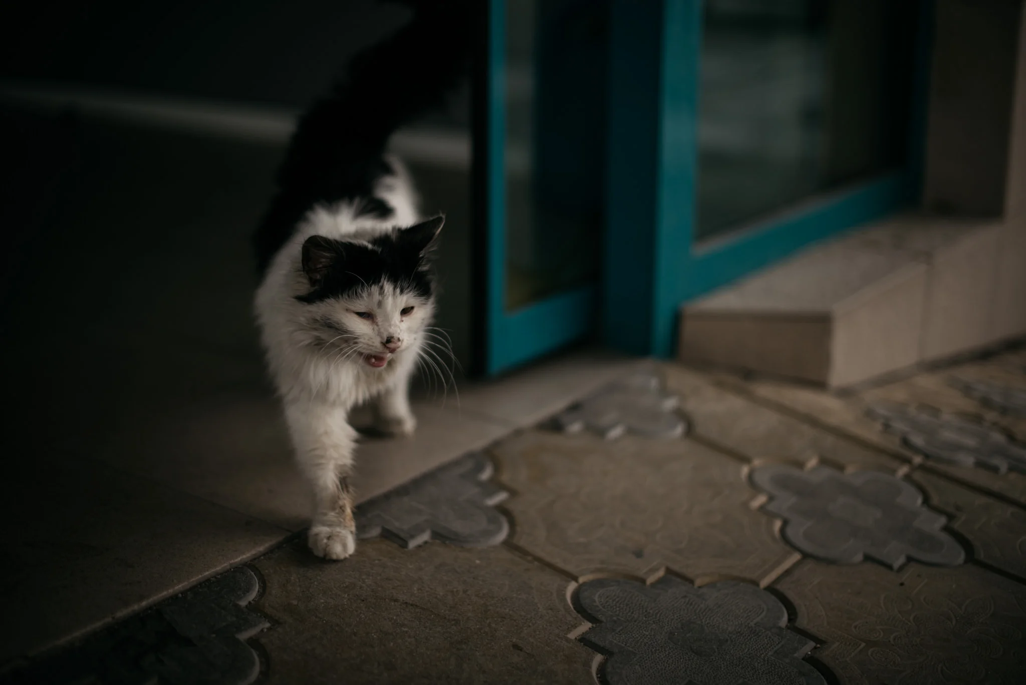 travel photographer bulgaria