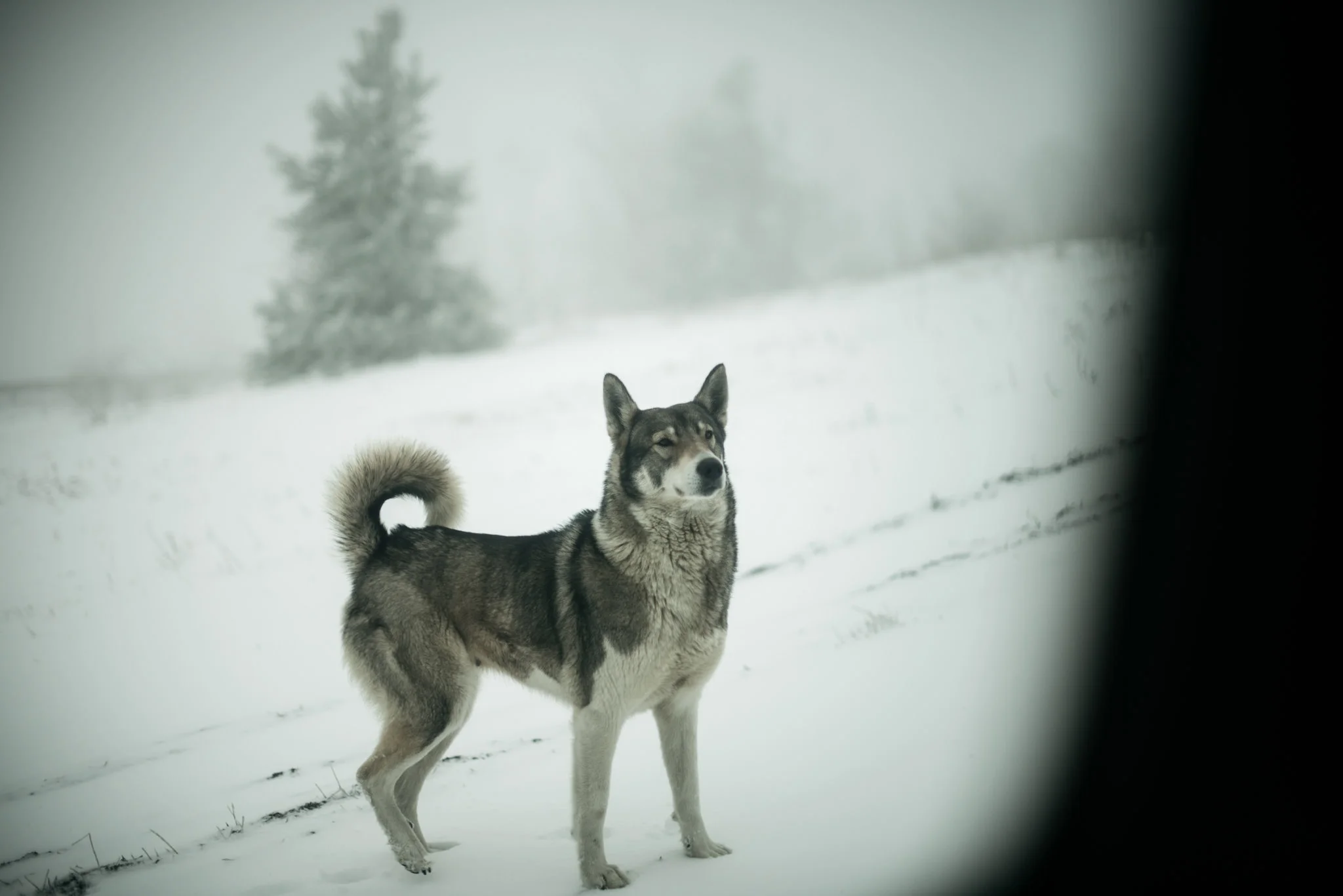 travel photographer bulgaria