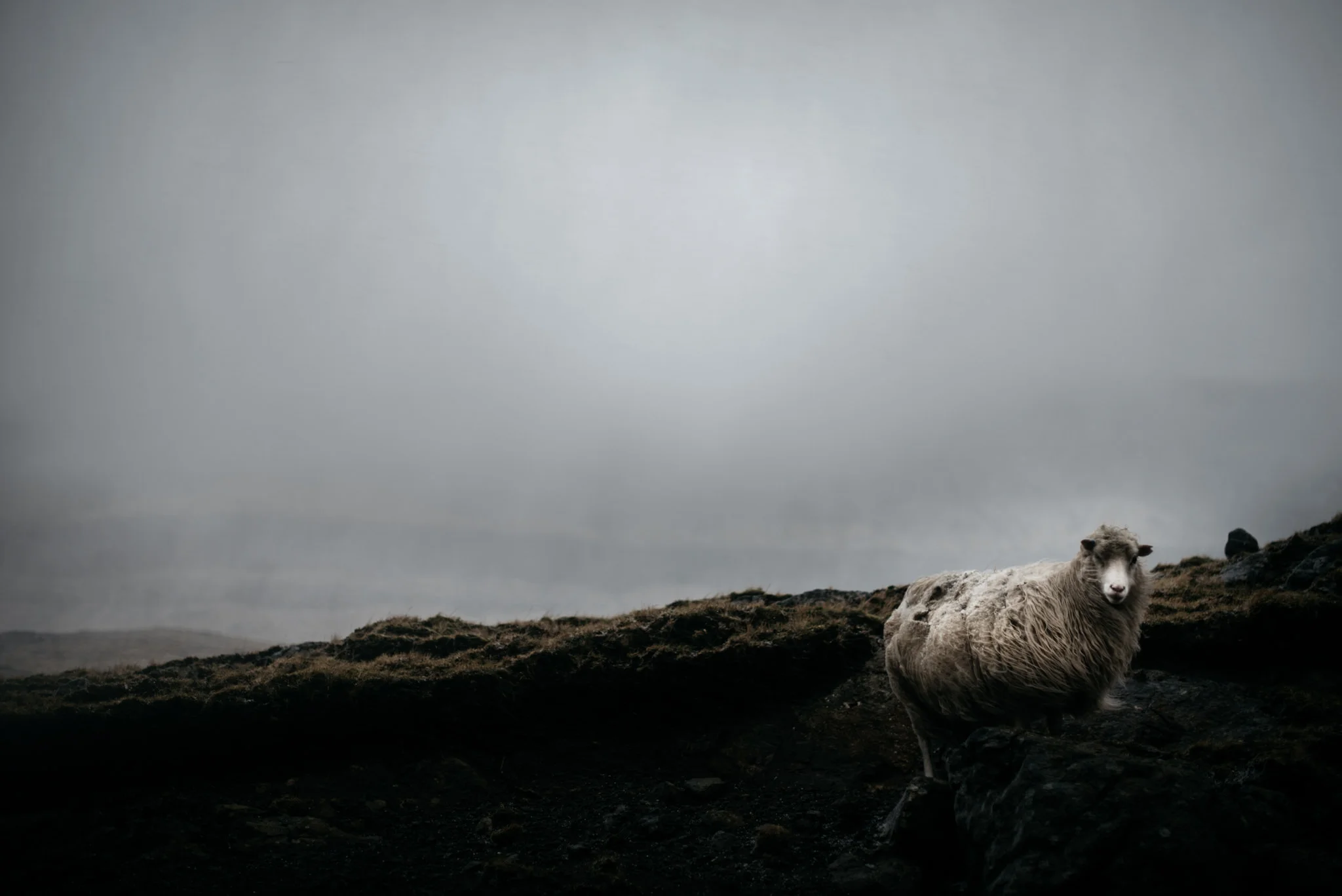 Faroe Islands Photographer