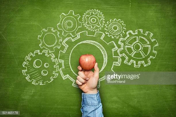 Photo by StockFinland/iStock / Getty Images