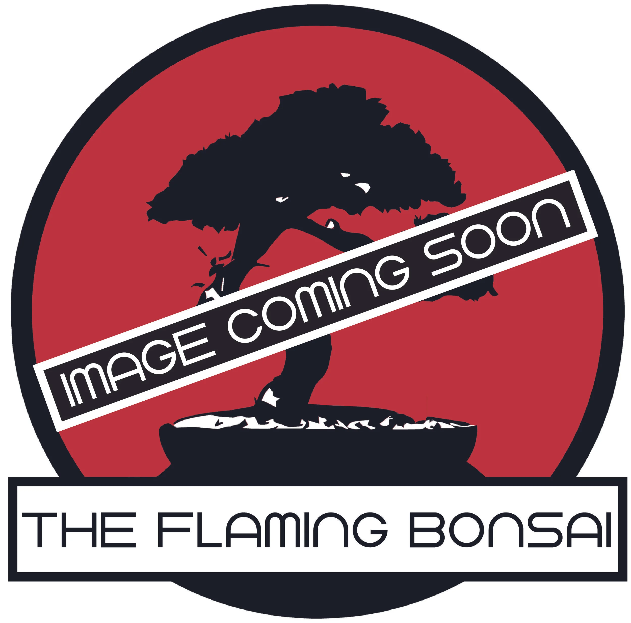 COMING_SOON-01.jpg