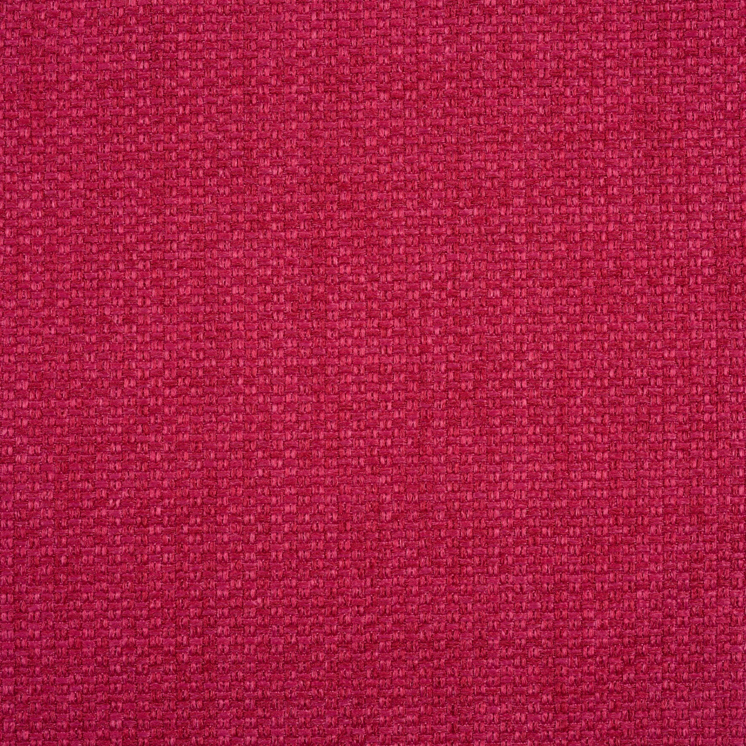 Marco-Belgium-Fuchsia-20170627-13.jpg