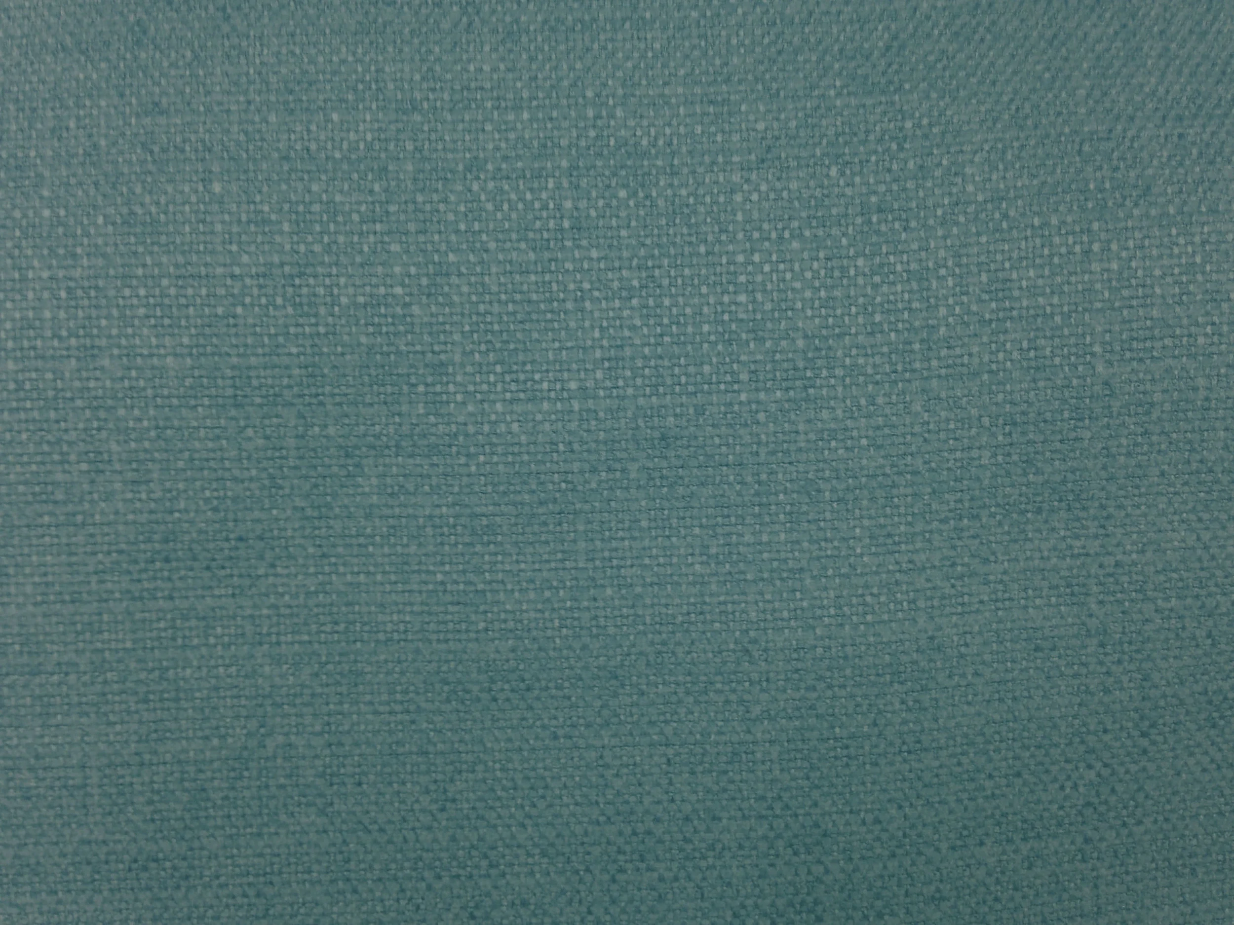 Comelino in Bluebird