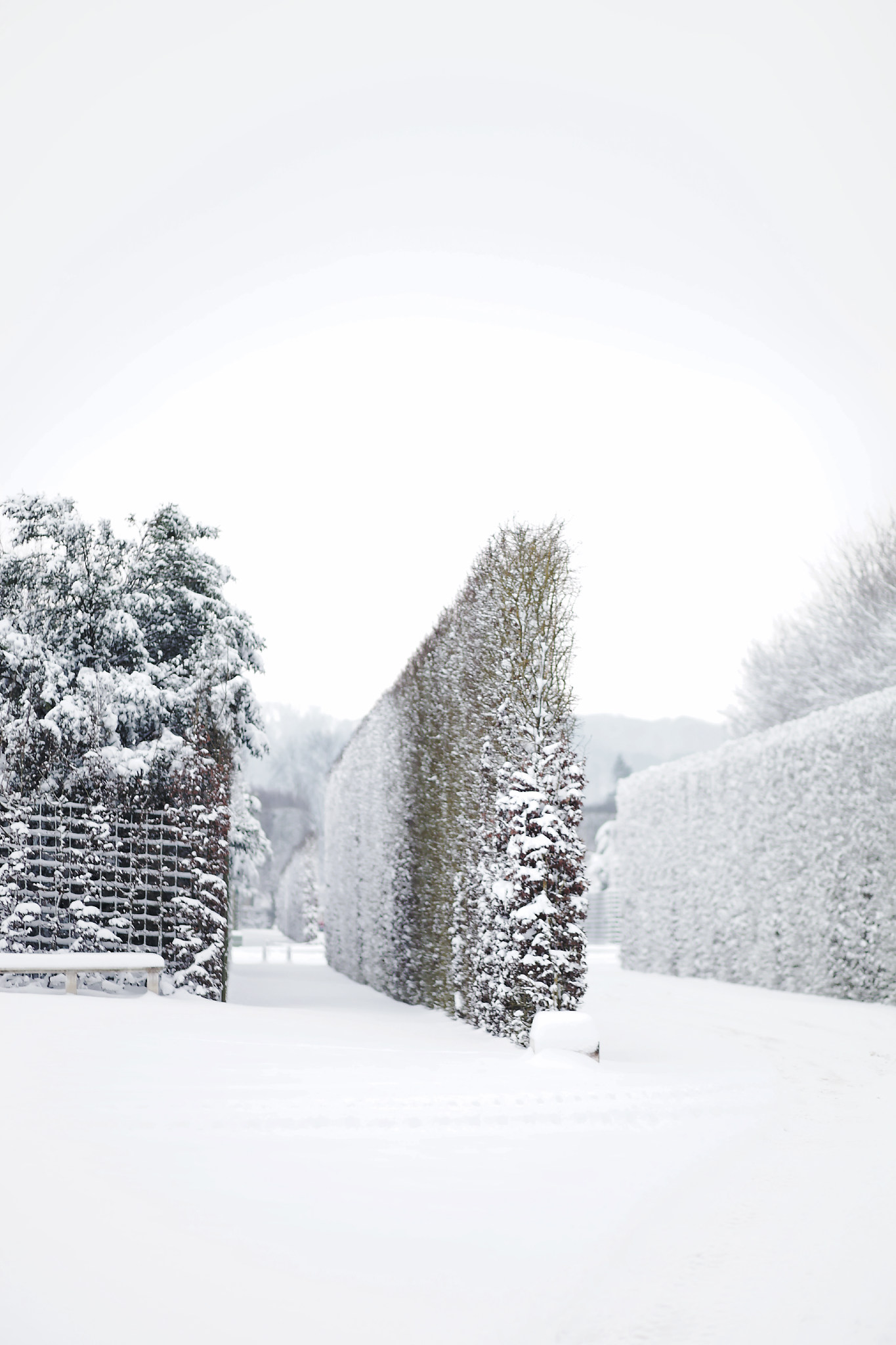 Versailles neige hiver (17).jpg