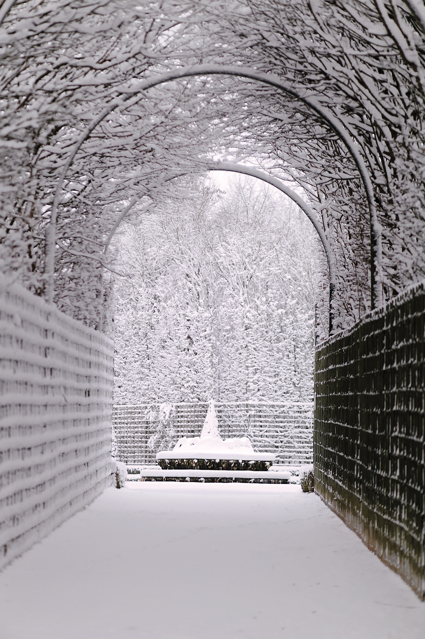 Versailles neige hiver (54).jpg
