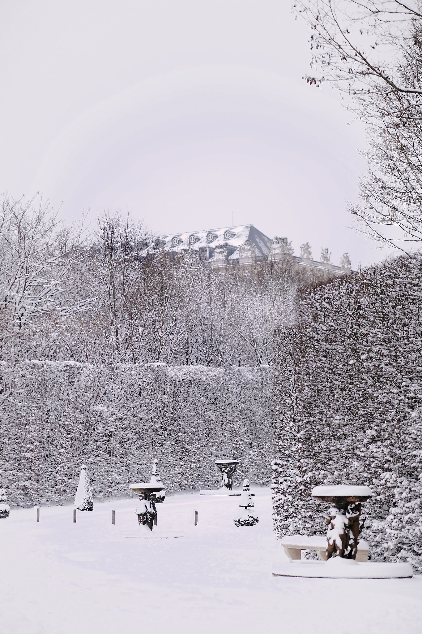 Versailles neige hiver (53).jpg