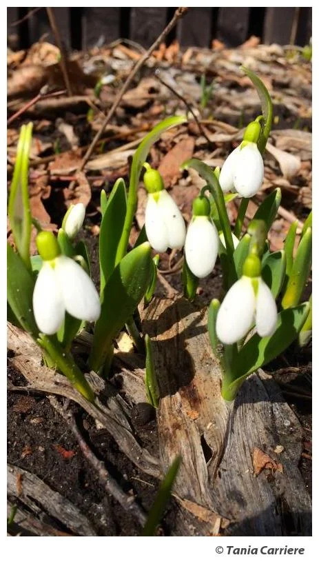 The Space In Between