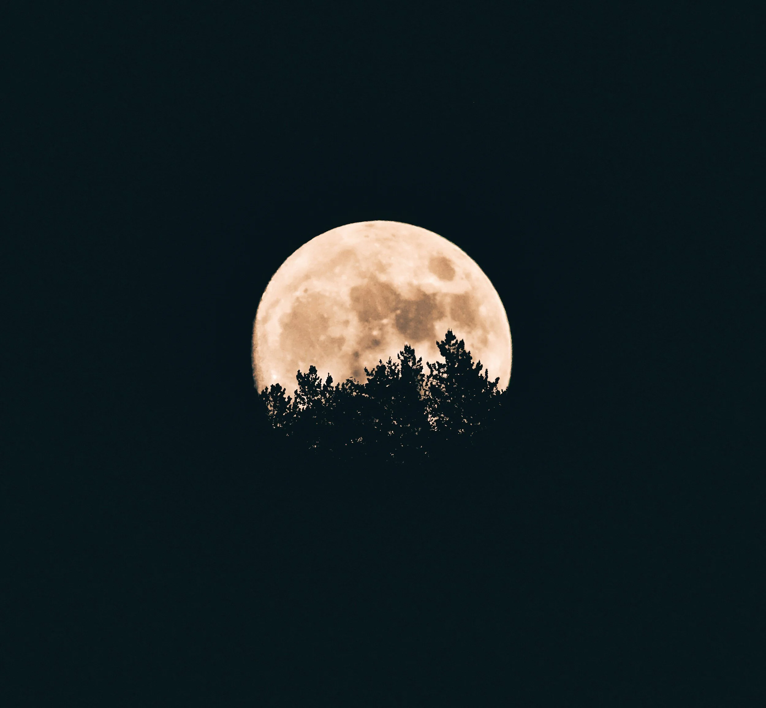 Moon Lessons