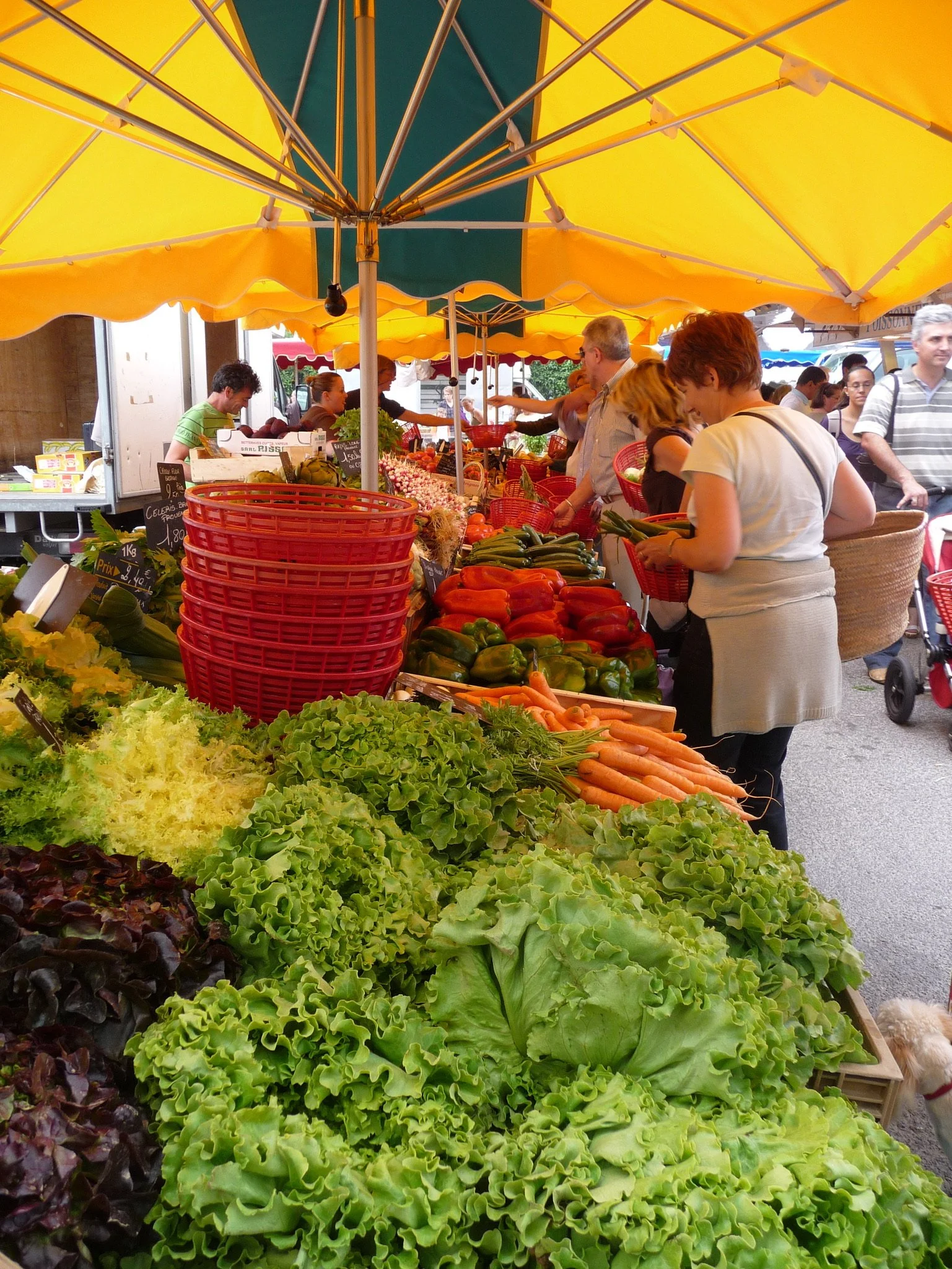 FLIRTING WITH LIFE: A French Lesson in Love