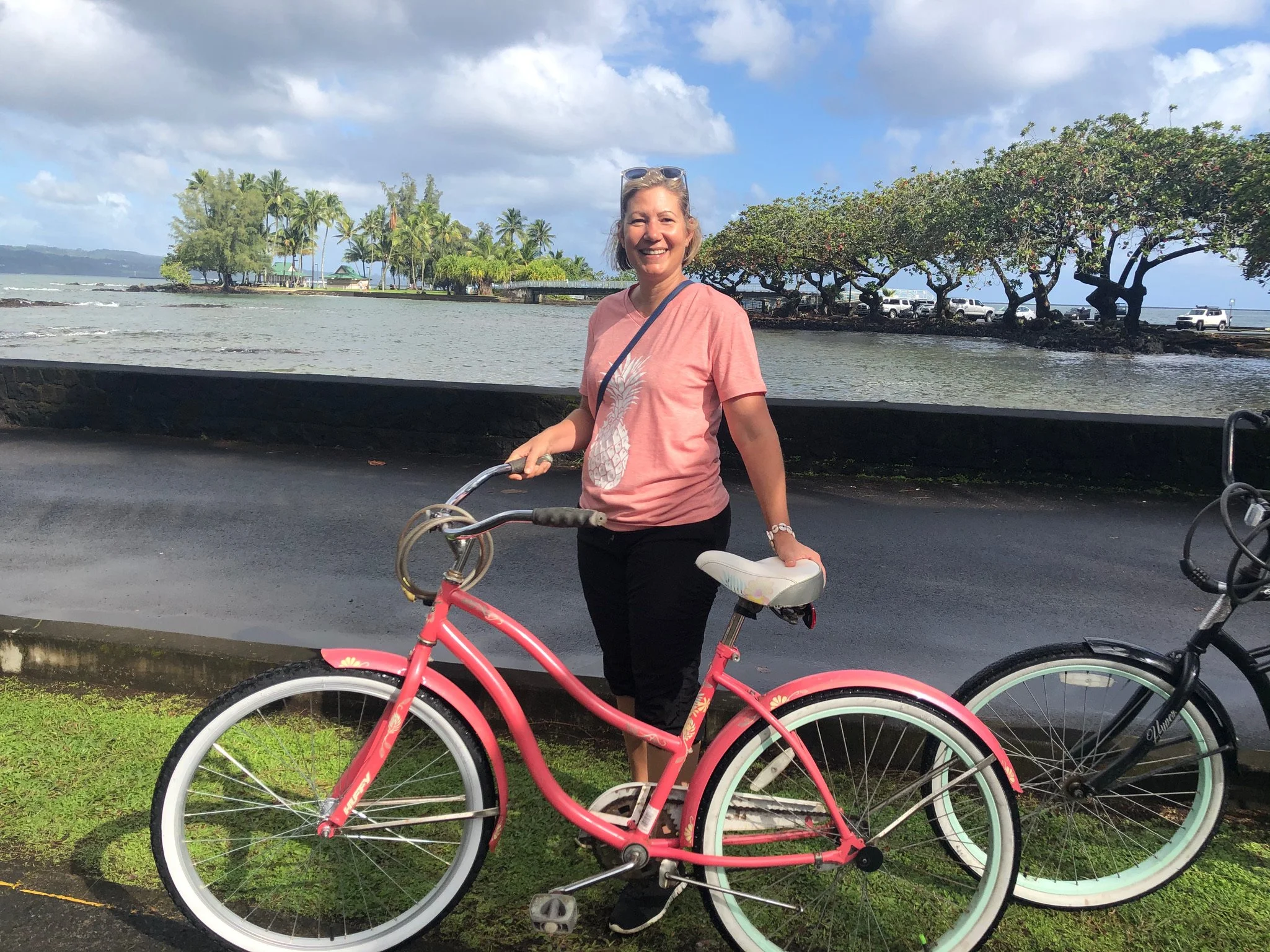 Free Virtual Field Trip: Rediscovering Beginner’s Mind