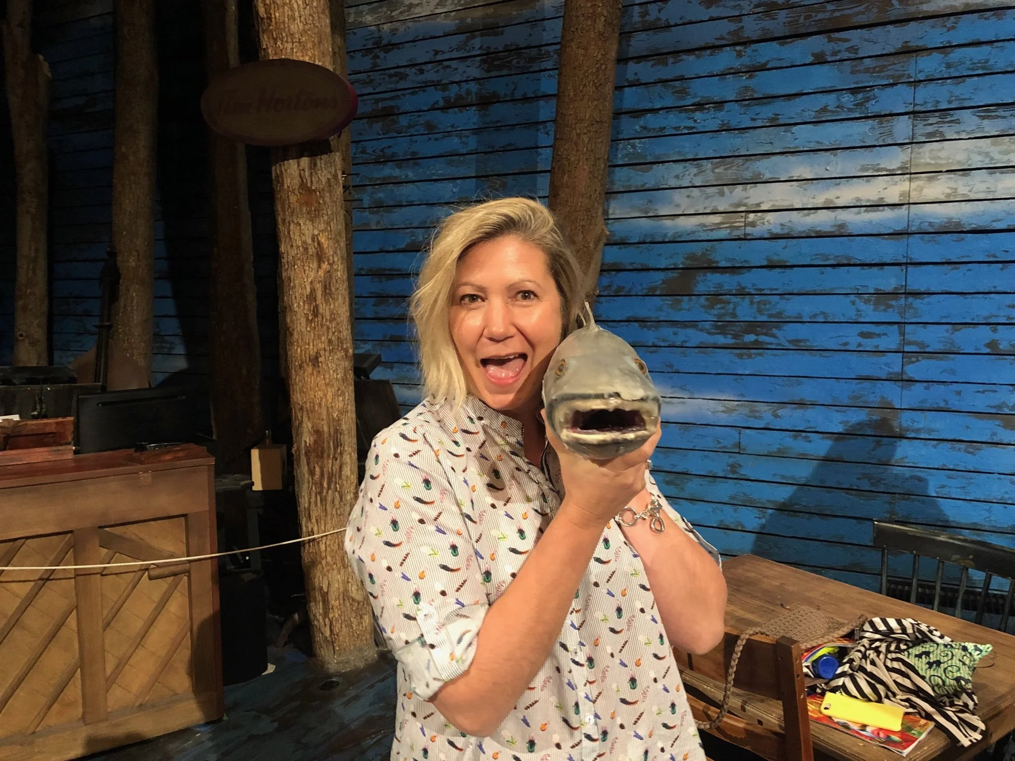 Free Virtual Field Trip: Navigating with "What If" 
