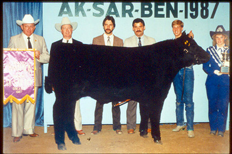A typical shot from a stock show, from left to right: two stock show big wigs, the two judges, the winning kid, and the stock show queen. And, of course, the champion animal. And that red rod under the animal is not what you think it is. It's actually a stick the kids used to calm their animals by rubbing their bellies.