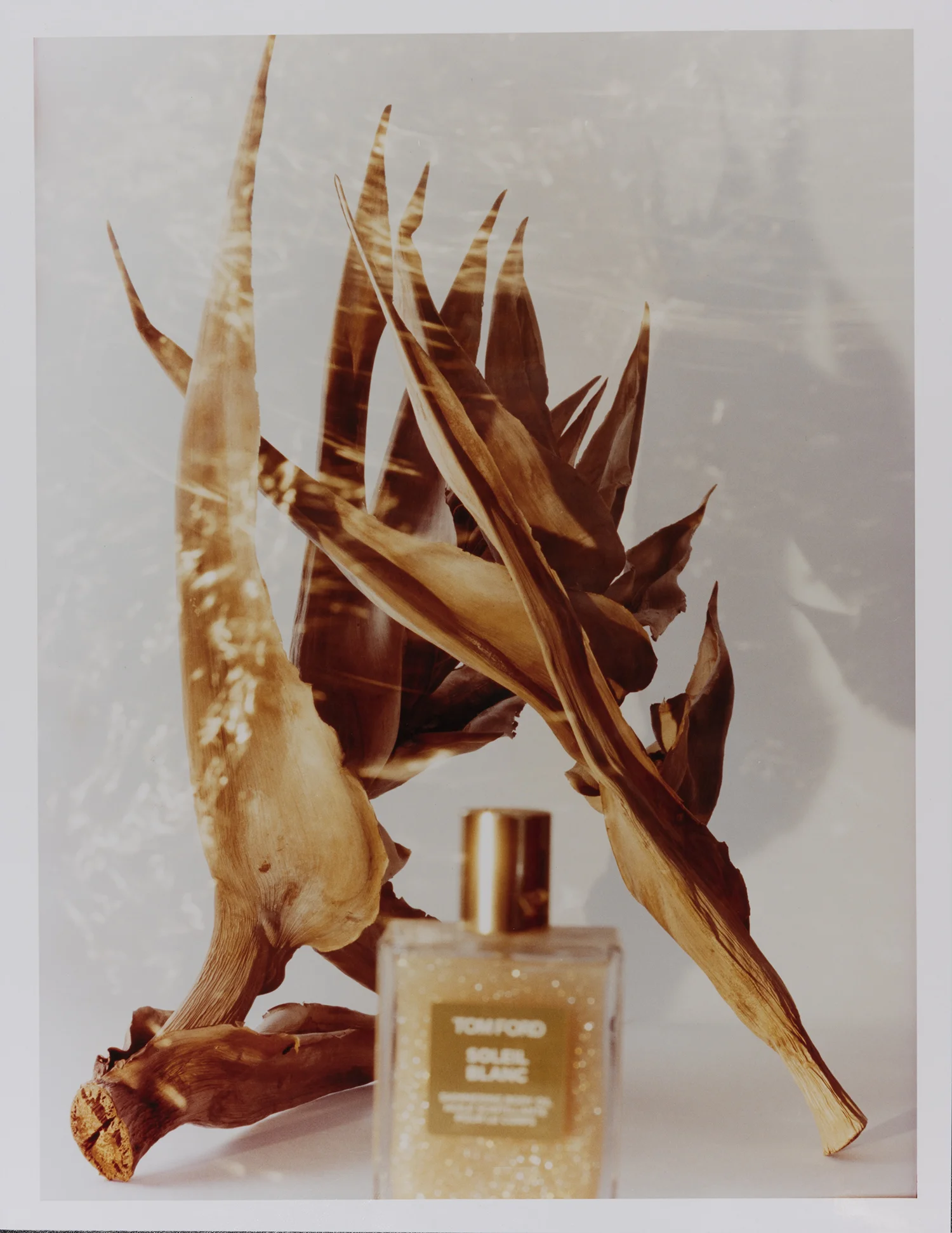 #tomford