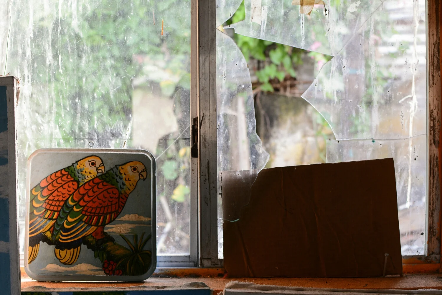 Parrots by the Window.