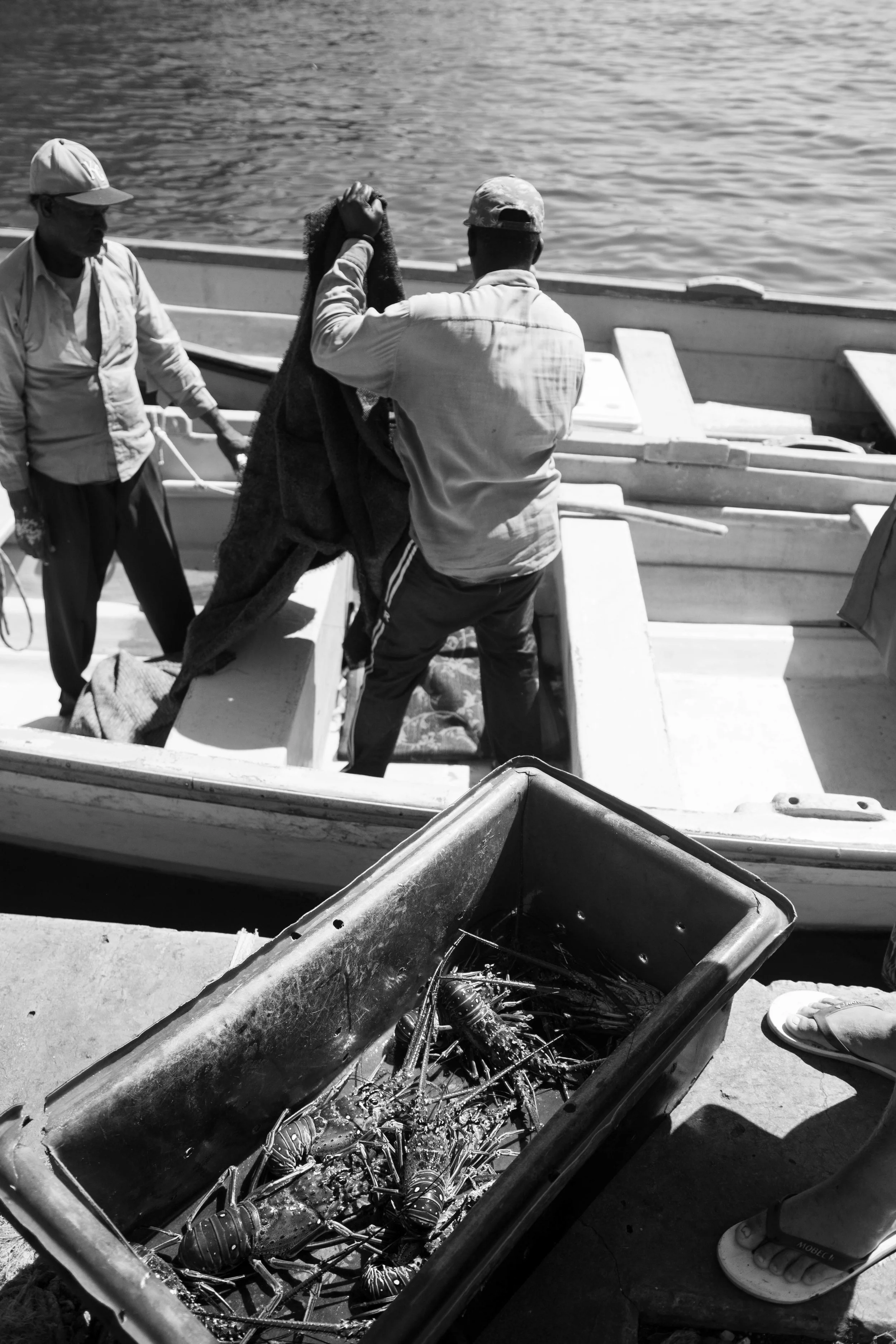 Out To Sea With Captian Marcel-7808.jpg