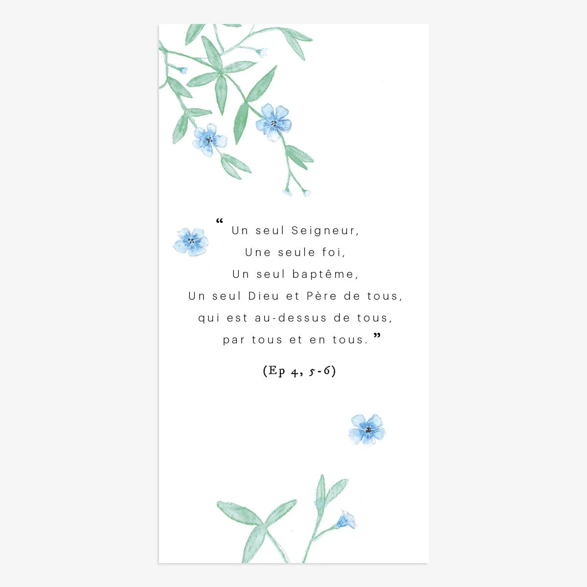 Signet 3 Prune Sibylle Signet 3 Prune Sibylle