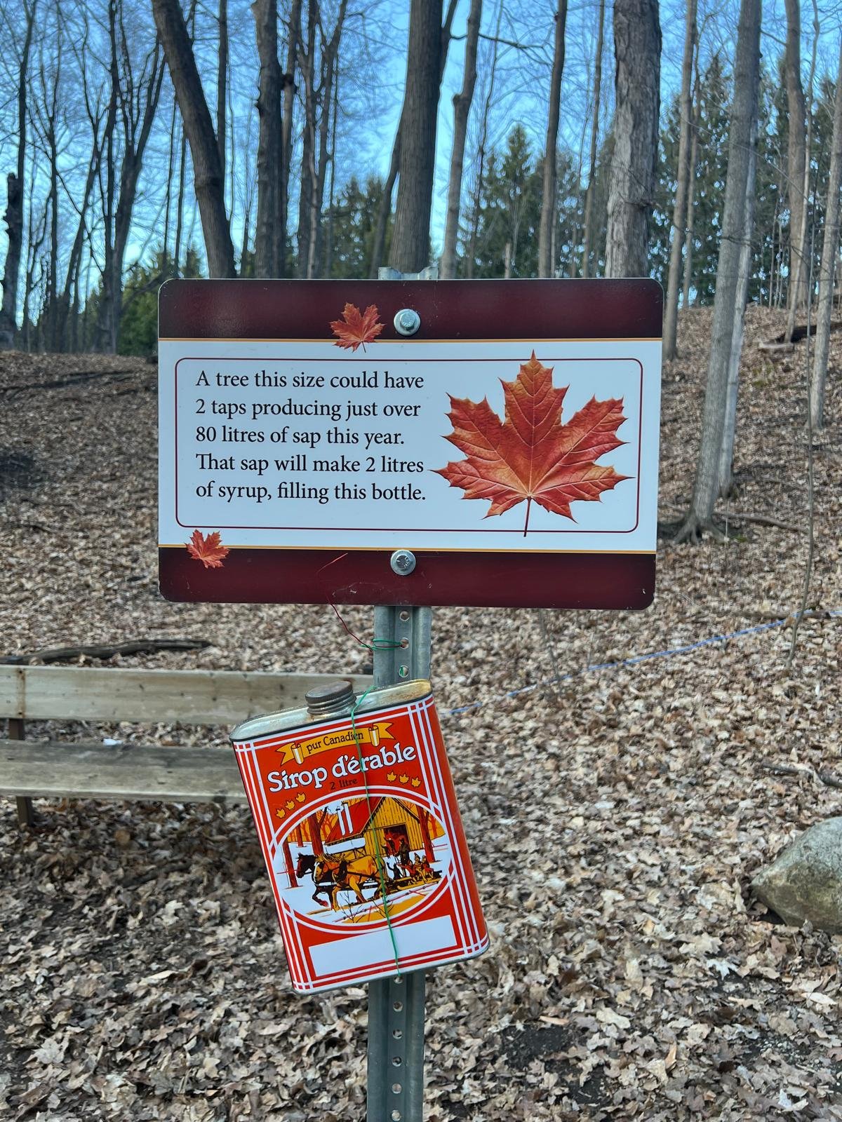 WhatsApp Image 2026-02-18 at 12.00.41.jpeg