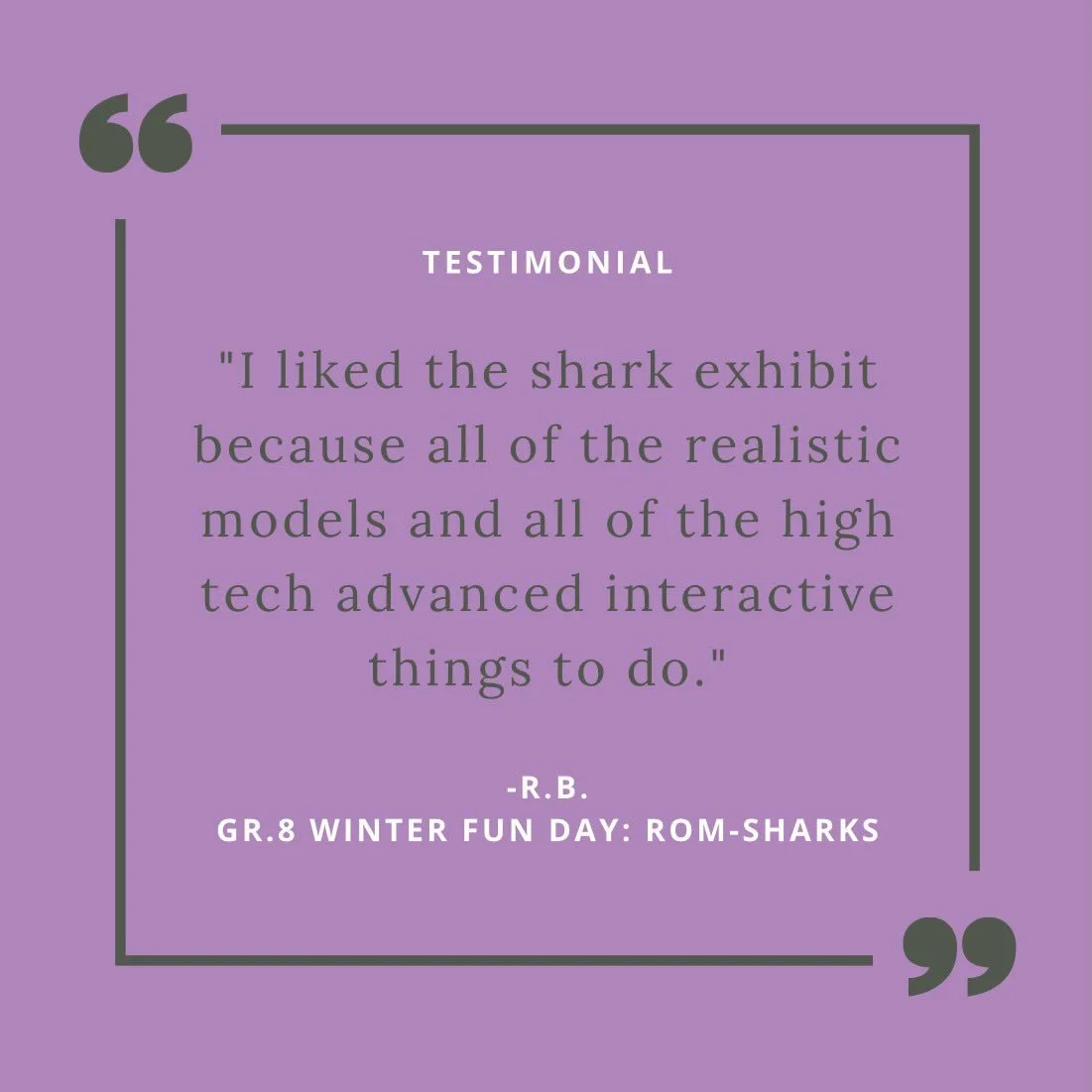 Student feedback from our Winter Fun Day 🦈

Exploring realistic shark models and interactive exhibits made the trip a big hit.

Want your child to join the next adventure? 🍁
Our Maple Syrup Festival trip is now open for registration on our website.