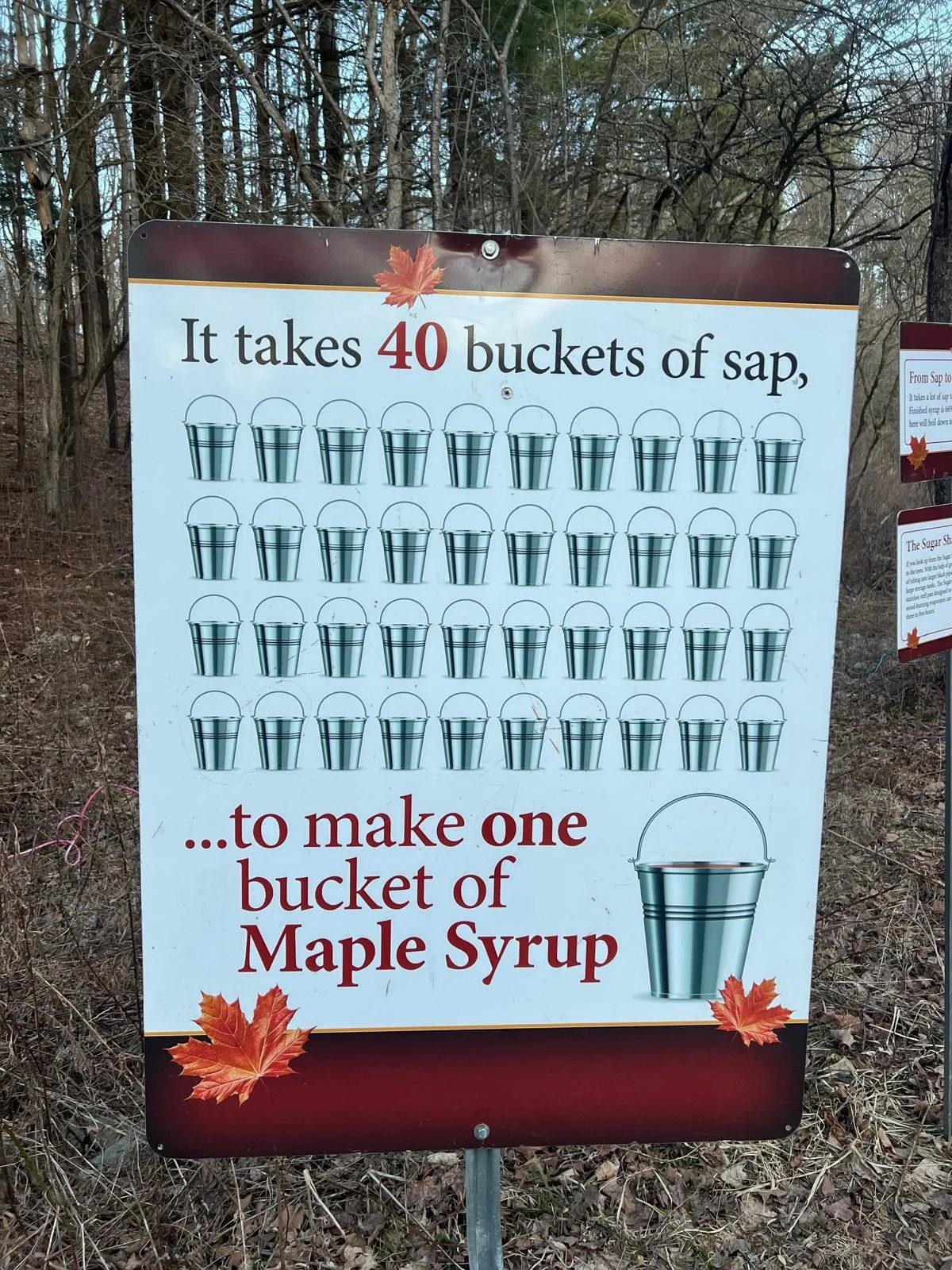 WhatsApp Image 2026-02-18 at 12.00.41 (2).jpeg