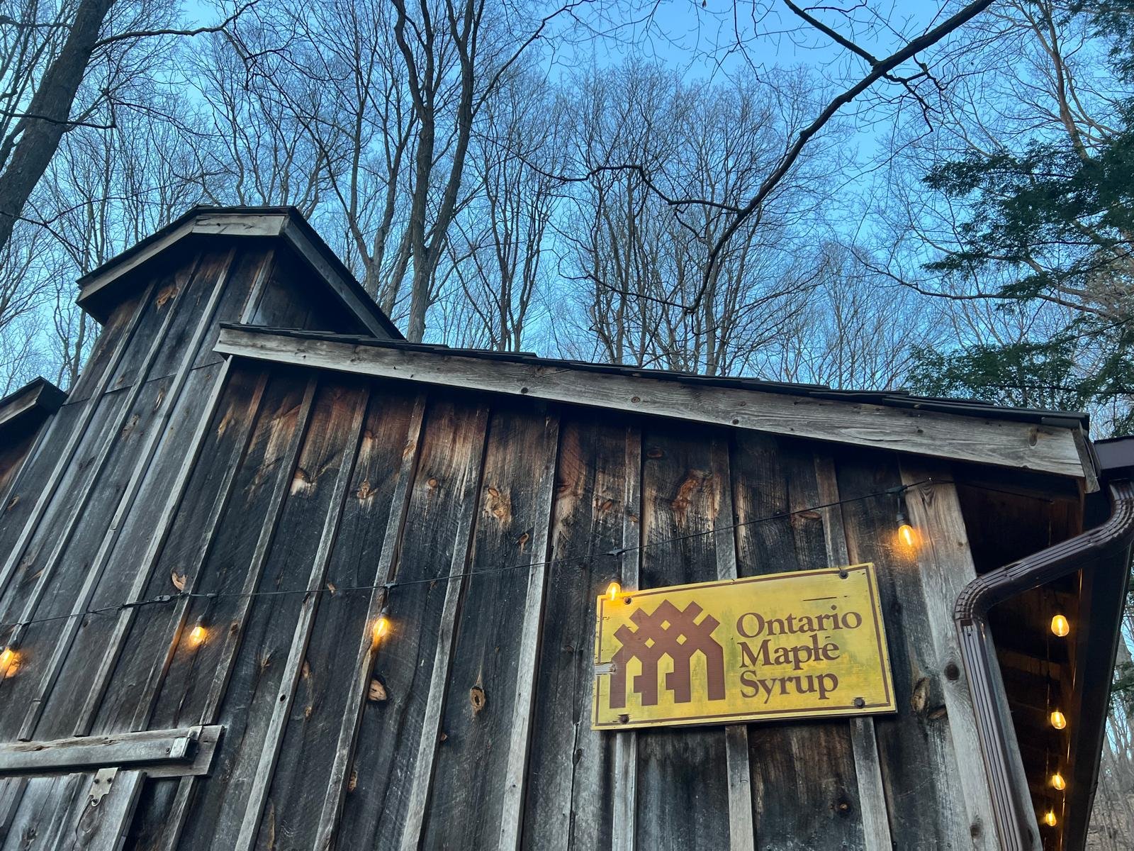 🍁 Kortright Maple Syrup Festival (March 28)