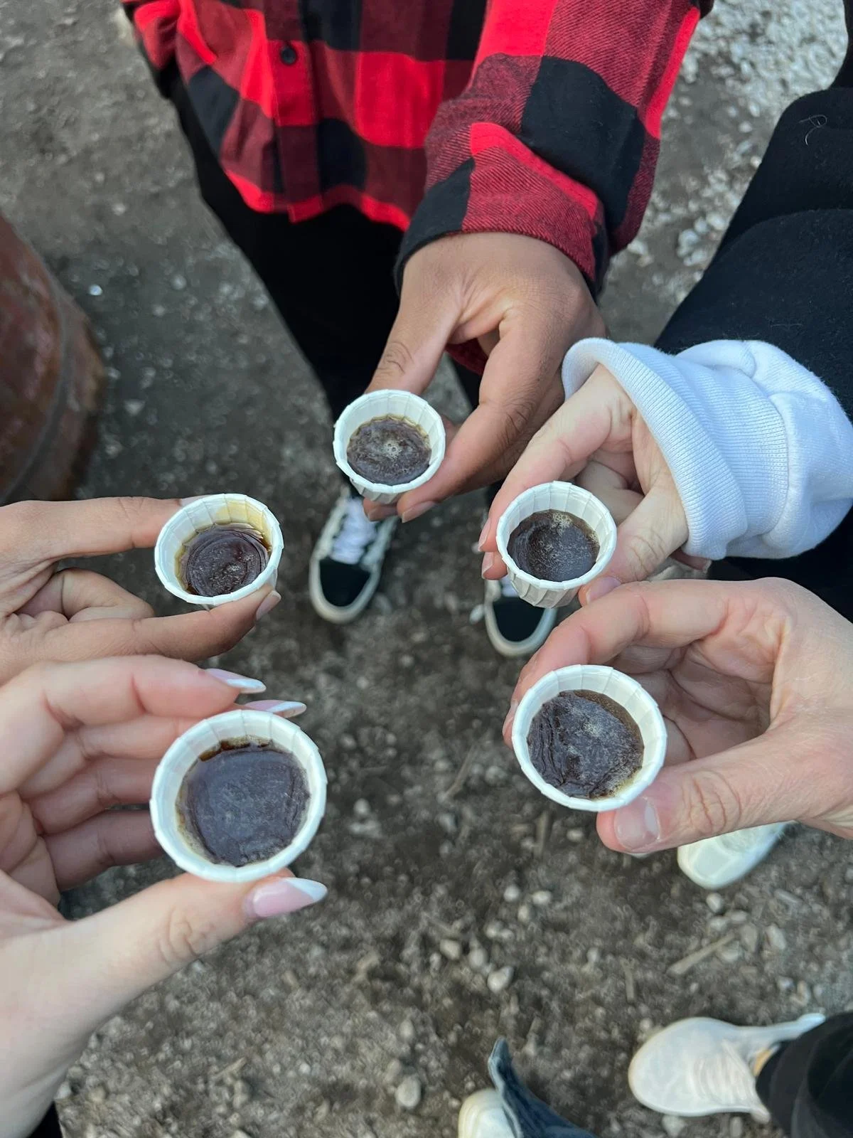 WhatsApp Image 2026-02-18 at 12.00.41 (1).jpeg