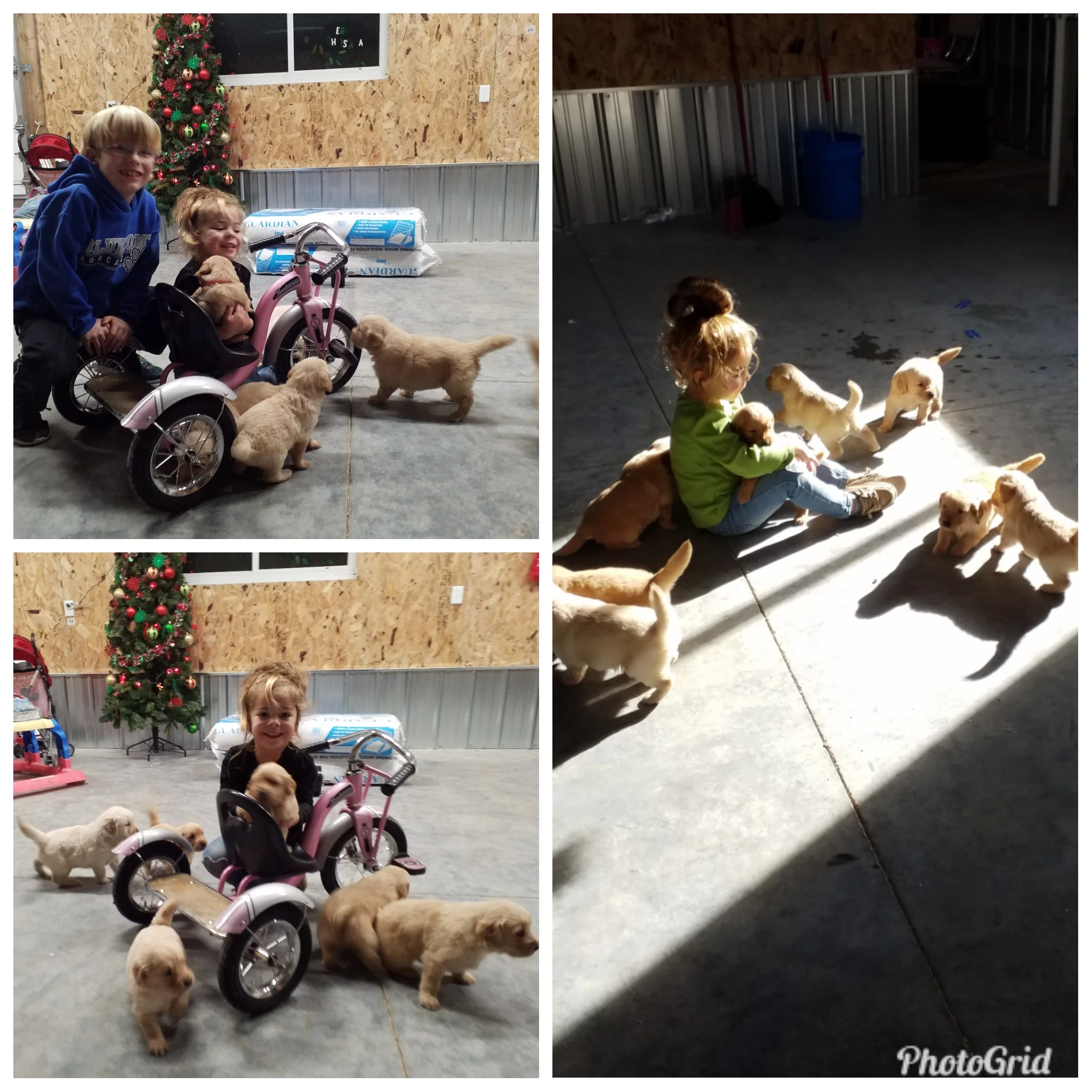 Play time in the shop!!