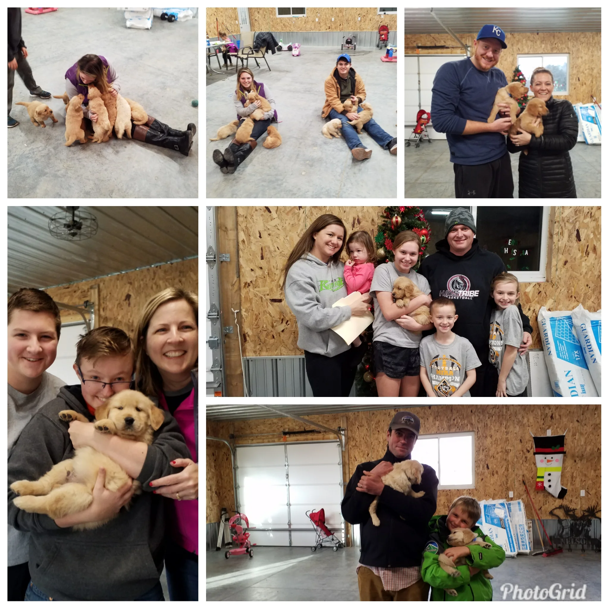 Here’s how new owners pick their puppies. Our puppies are used to us handling them. When they are old enough to have their adopted families come see them, they are welcoming to cuddling and play time by everyone.
