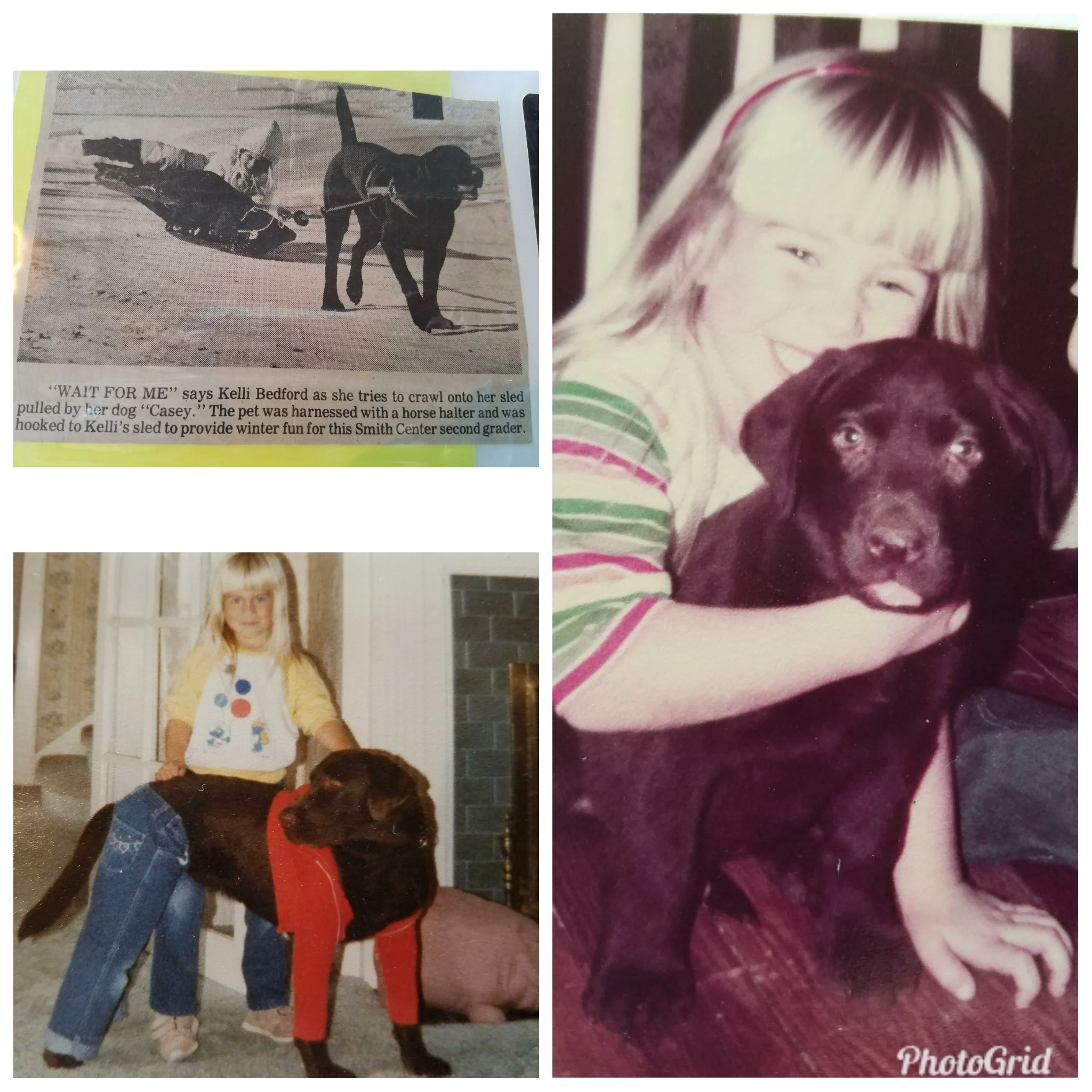 If we are putting on a show for everyone, it’s been going on since 1984 when I was 4 years old. That is when my dad bought me my first love, “Casey.” Casey was a beautiful chocolate Lab. He was my best friend, went everywhere with me, and my childhood friends all, to this day, remember him. We breed quality Labrador’s (Golden’s and Doodles) with the idea in mind that each pup could be some little girl’s (or boys) best friend.