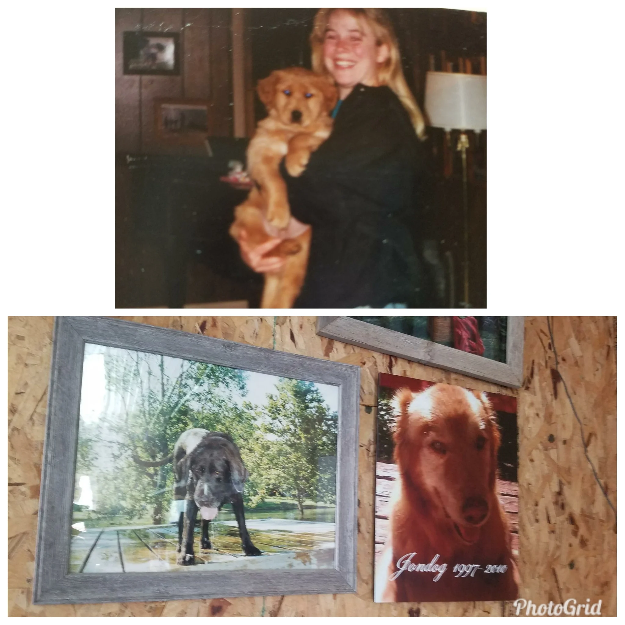 When Casey passed away in 1996, I spent considerable time looking for someone to fill that void. Jonny (pictured at top as a puppy) was my next love. Jonny “Jondog” finished high school with me, went to college with me, was there when I got my first teaching job, and stood at the door to greet me when I brought home my son from the hospital. The pictures of both Casey and Jondog hang in our shop to remind us why we do what we do.
