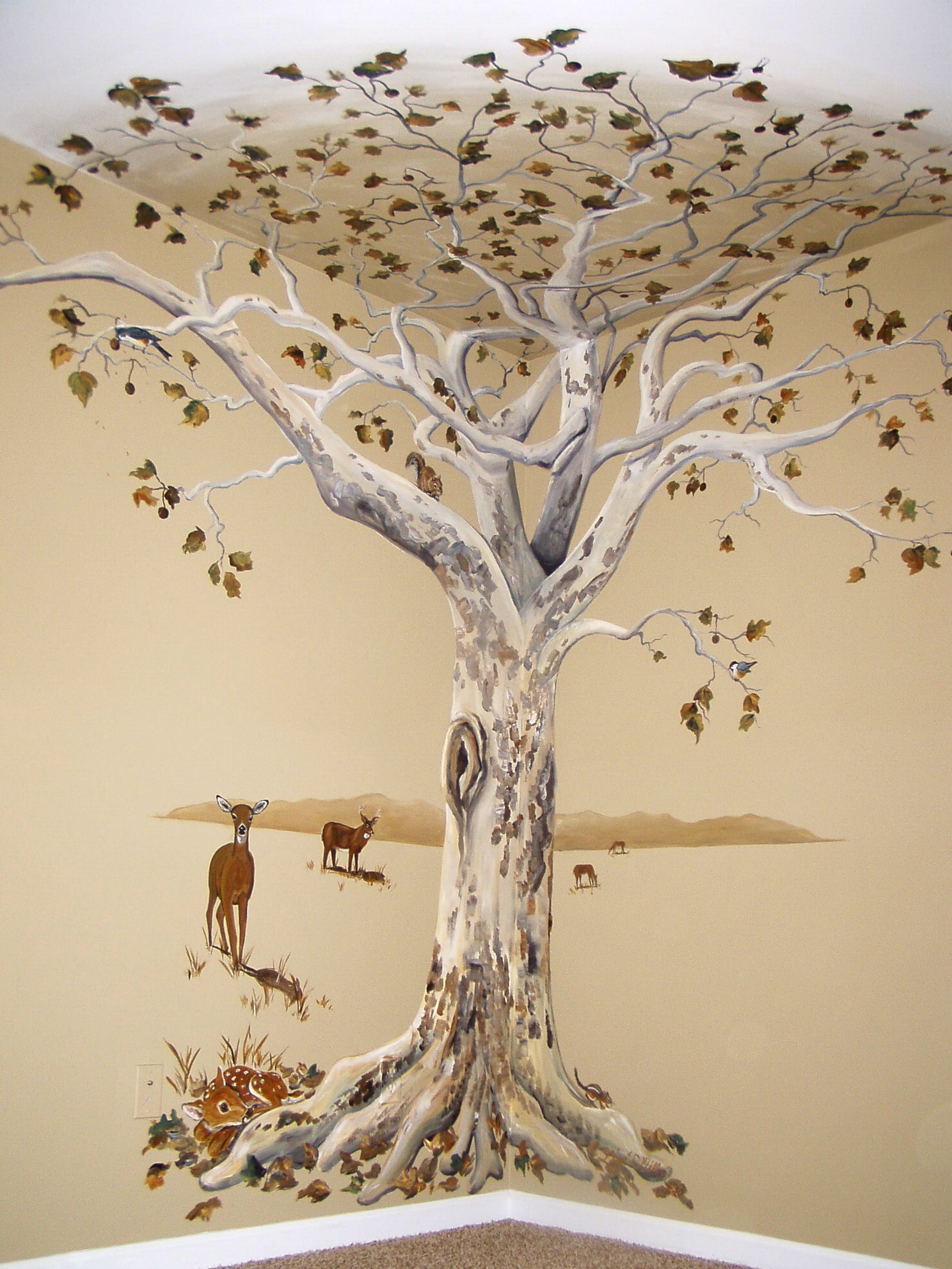Sycamore Tree Wall and Ceiling Mural.JPG