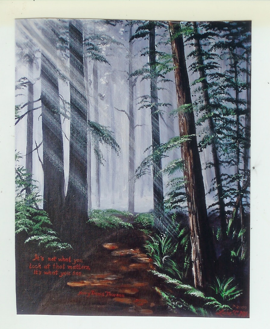 Light in the Trees.jpg