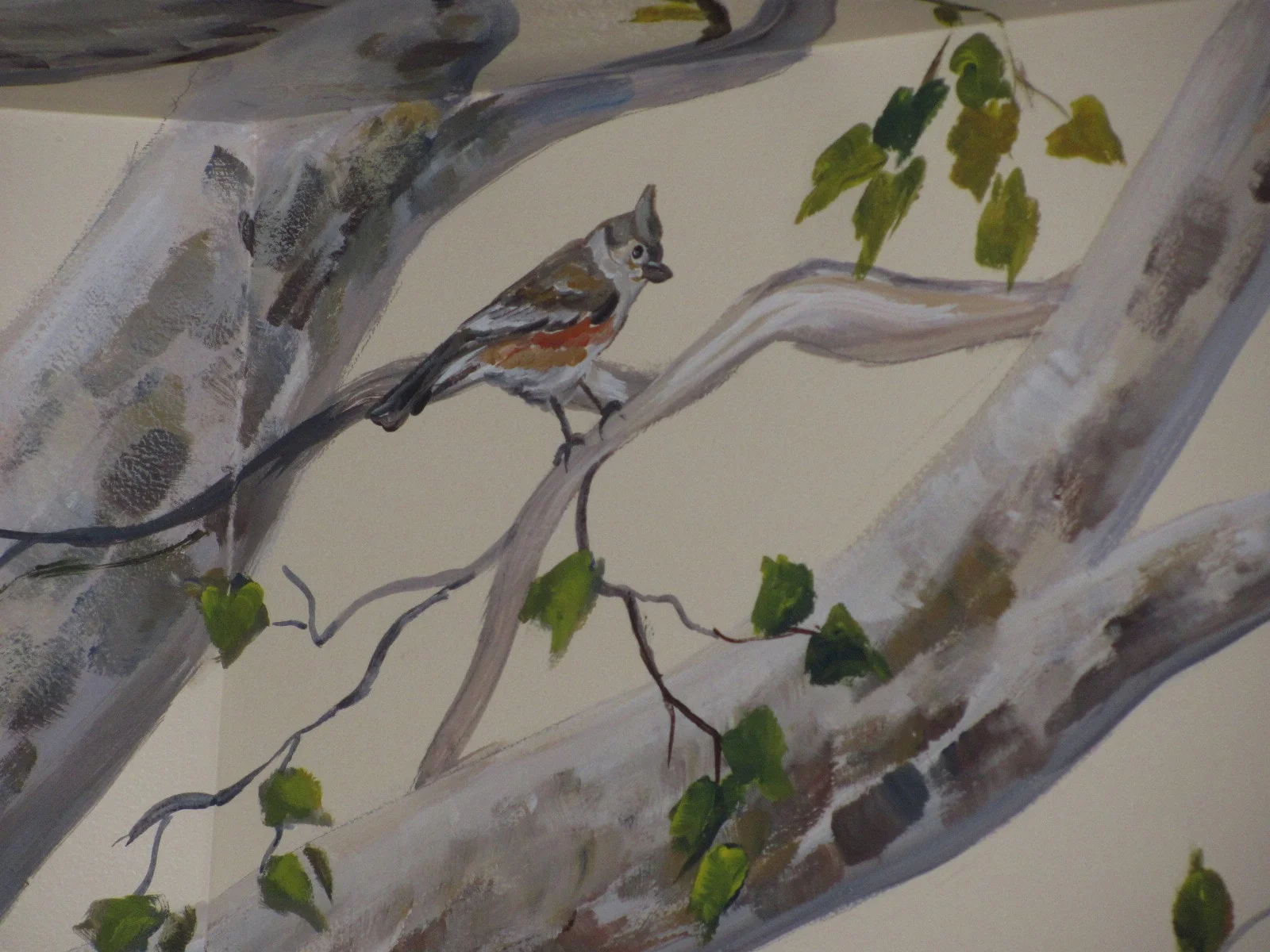Tufted Titmouse Bird in Sycamore Tree Mural.JPG