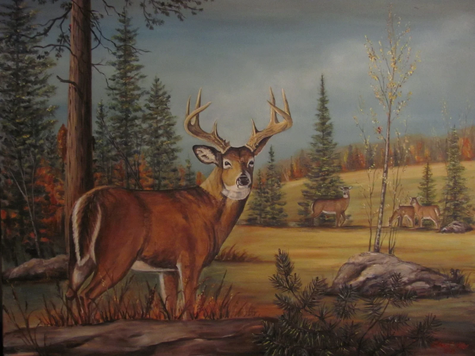        * This is available for an 11x14,16x20,20x24 print. Please contact for pricing. 