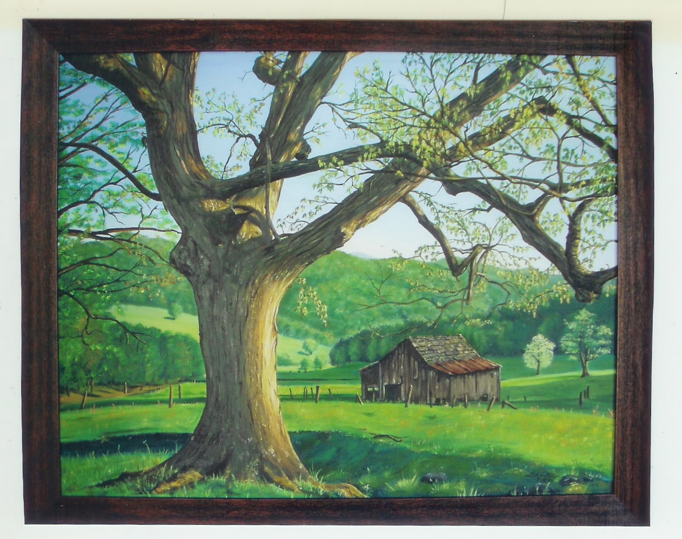 Maple in Spring Mountains.jpg