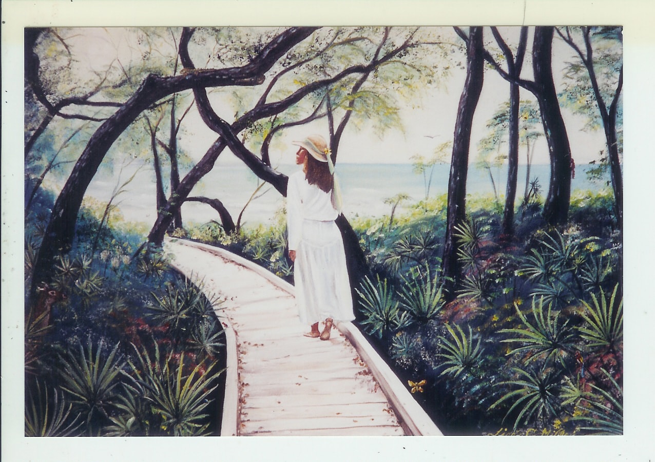 Boardwalk through the Trees.jpg