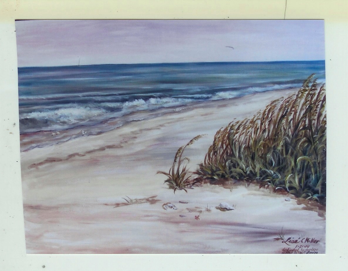 Beach with Seagrass.jpg