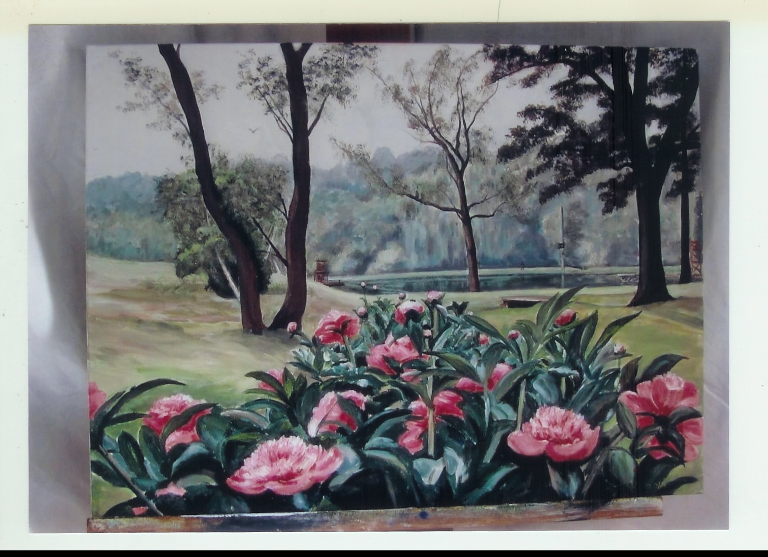 Peonies in Spring at Homestead.jpg