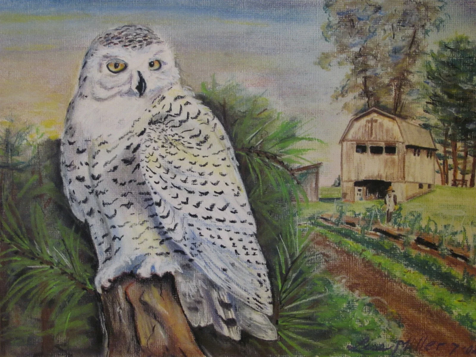 Snowy Owl Scene Pastel.JPG