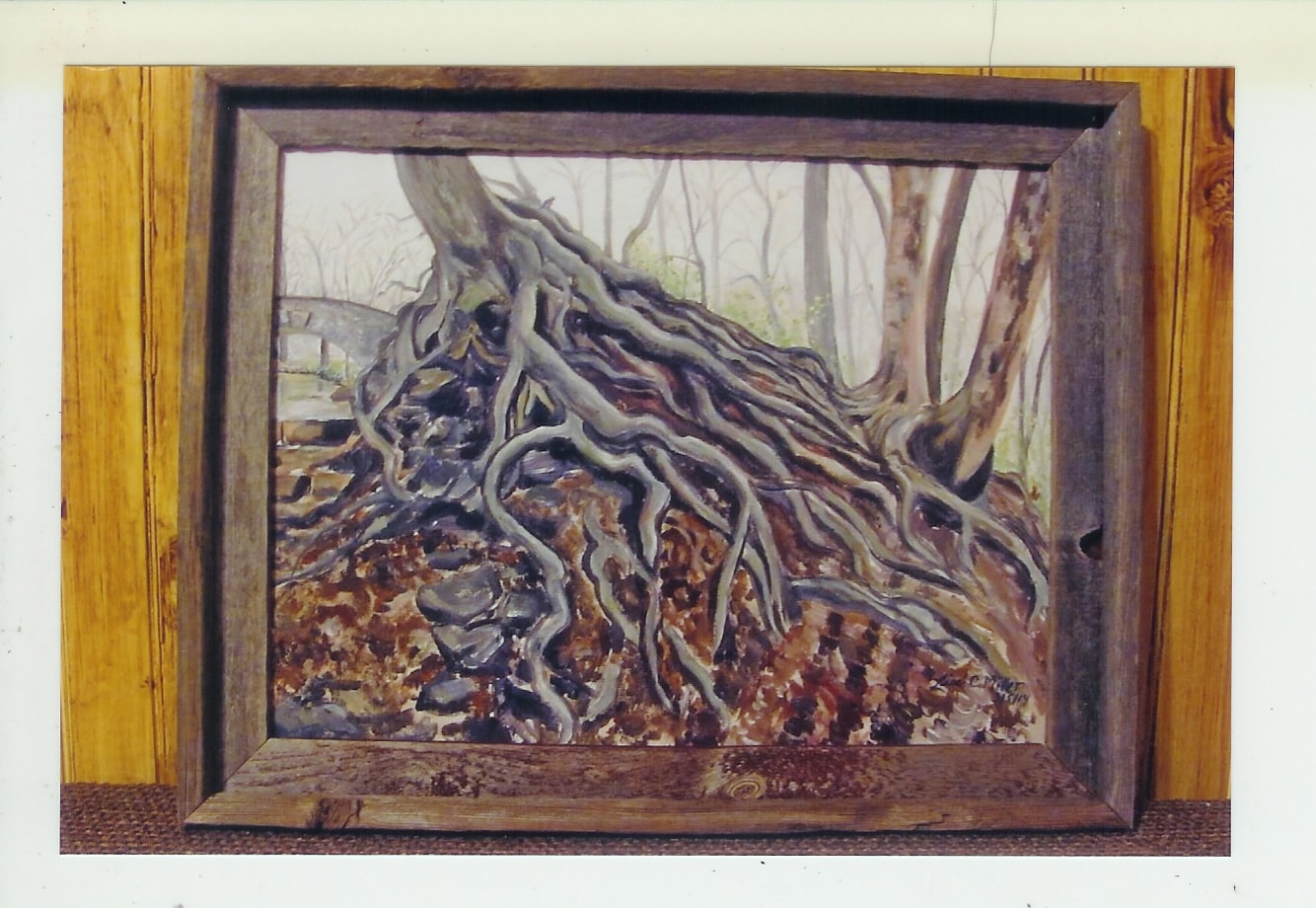 Tree Roots.jpg