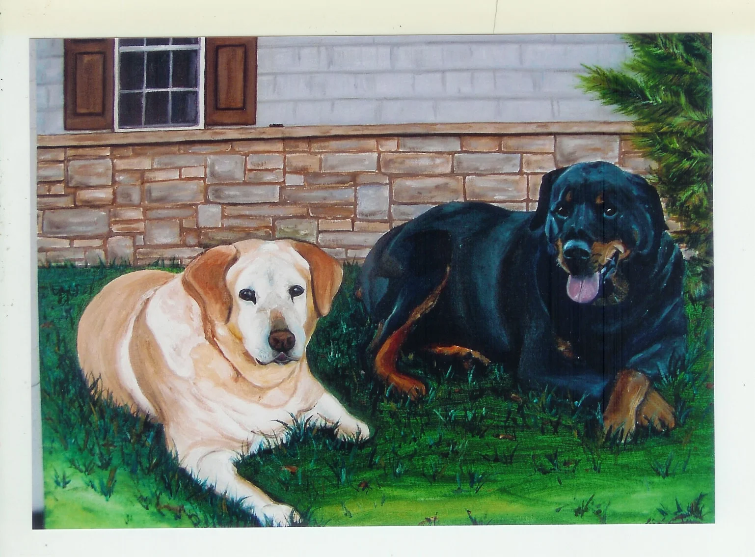 Dogs Rotwilder Lab Portrait.jpg