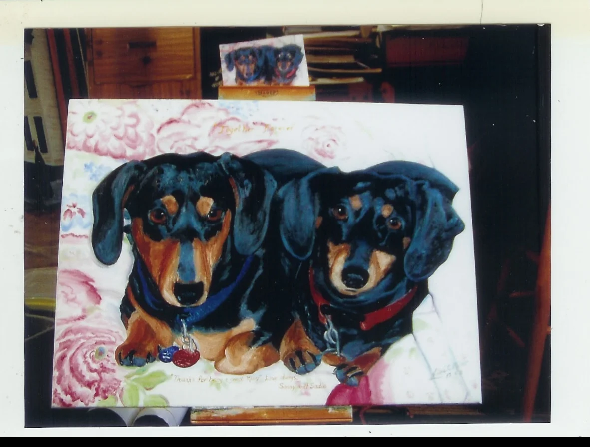 Dogs Dachsund Portrait.jpg