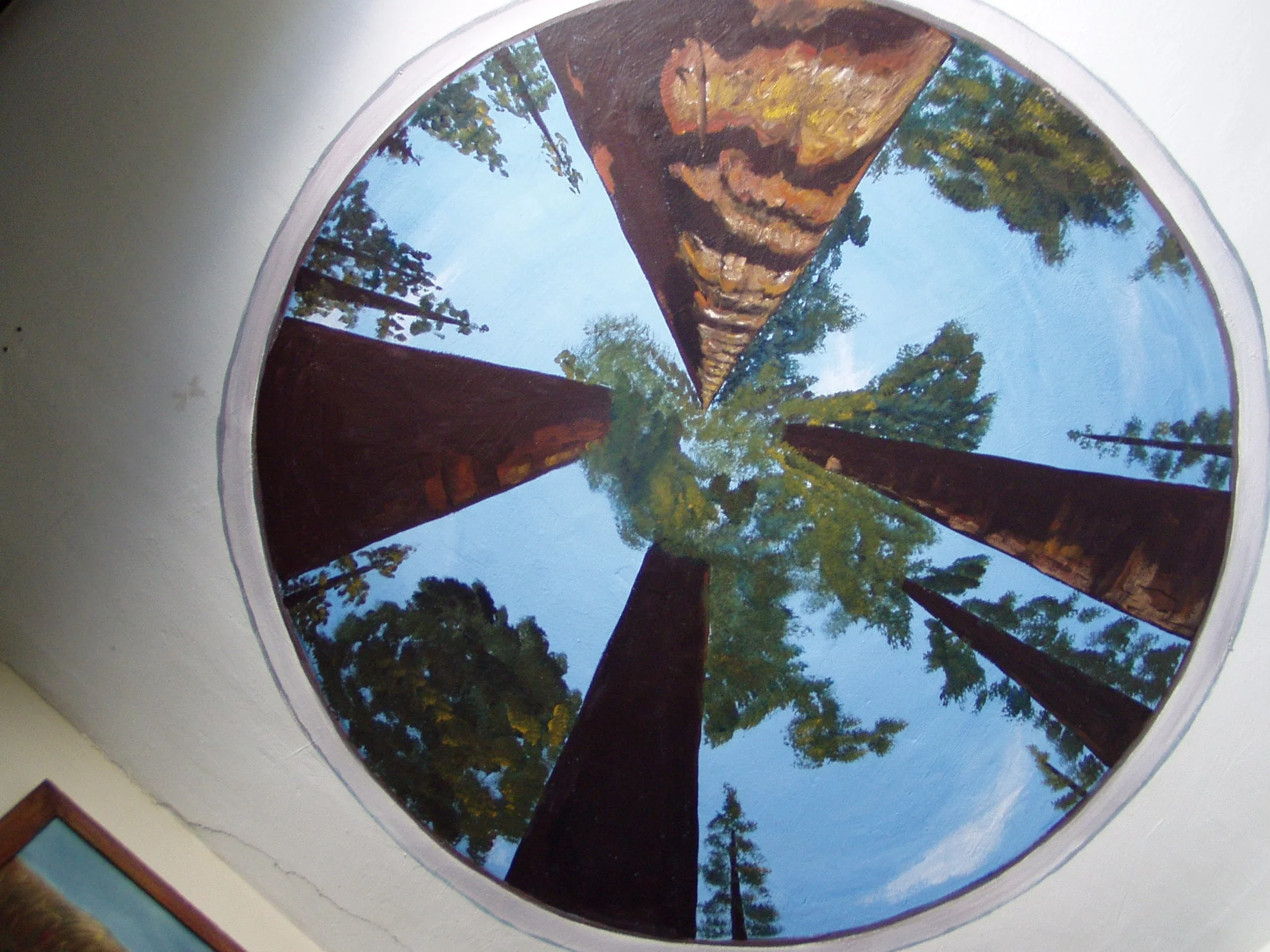 Redwood Trees looking up Mural.JPG