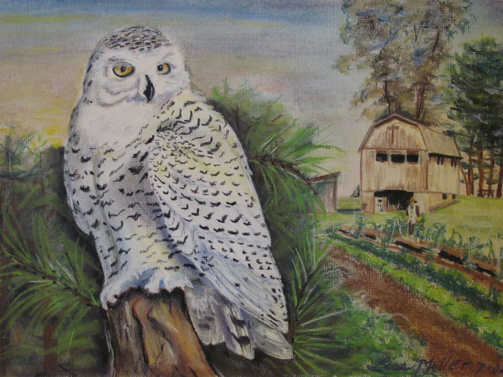Snowy Owl Scene Pastel.JPG